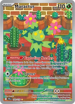 Maractus